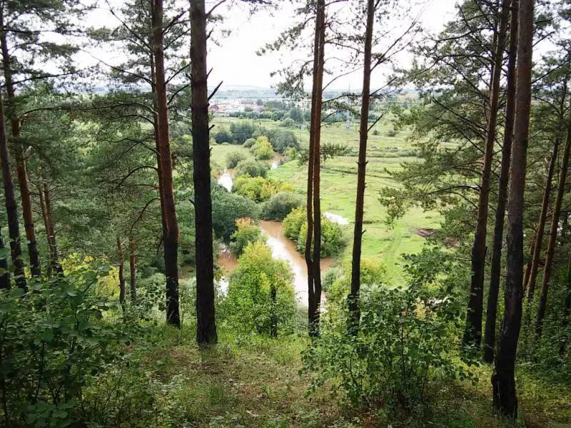 Панорама лесной реки, фото 2