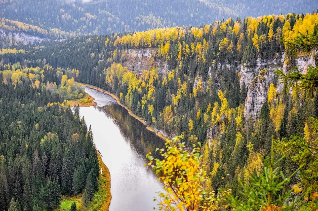 Панорама лесной реки, фото 11
