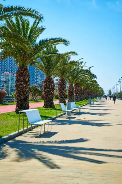 Панорамный бассейн в горах, фото 13