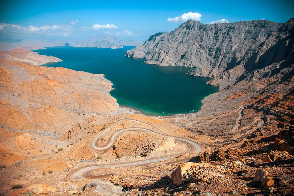Парк с красными деревьями, фото 8