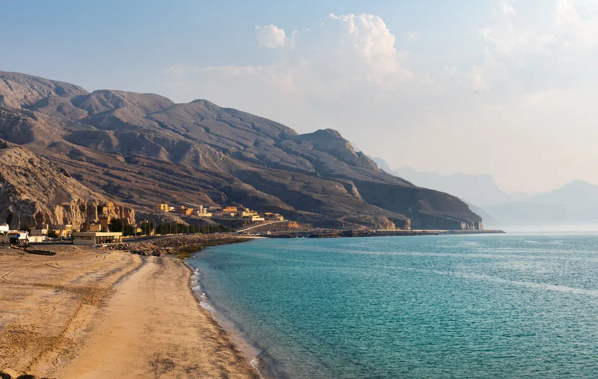 Парк с красными деревьями, фото 6