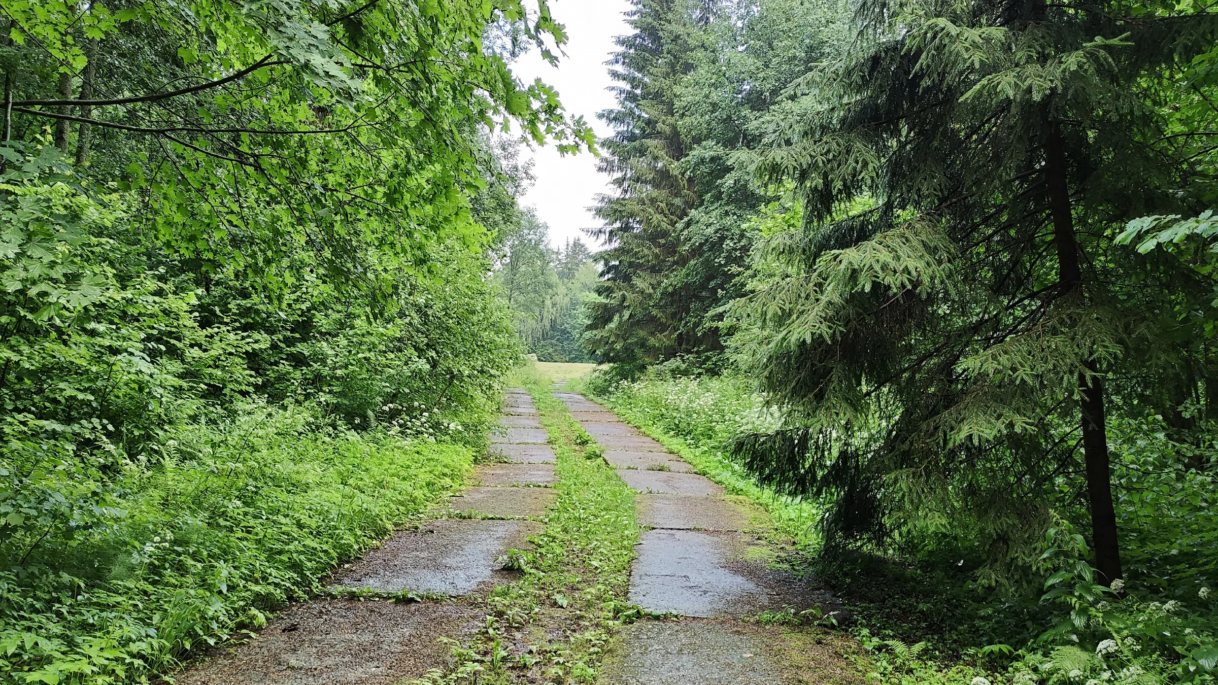 Дача c плиточной тропой, фото 12