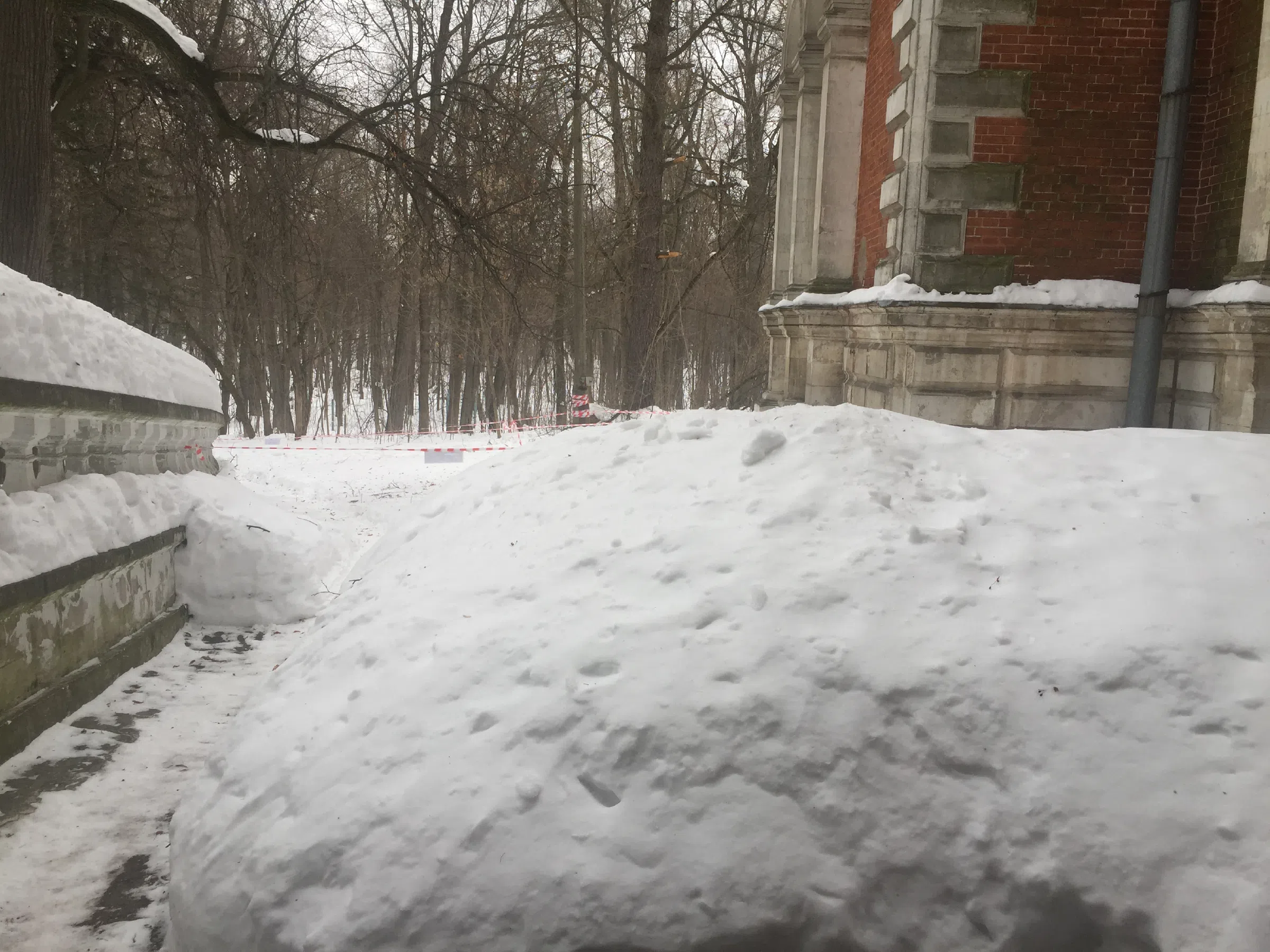 Старинный особняк в лесу, фото 10