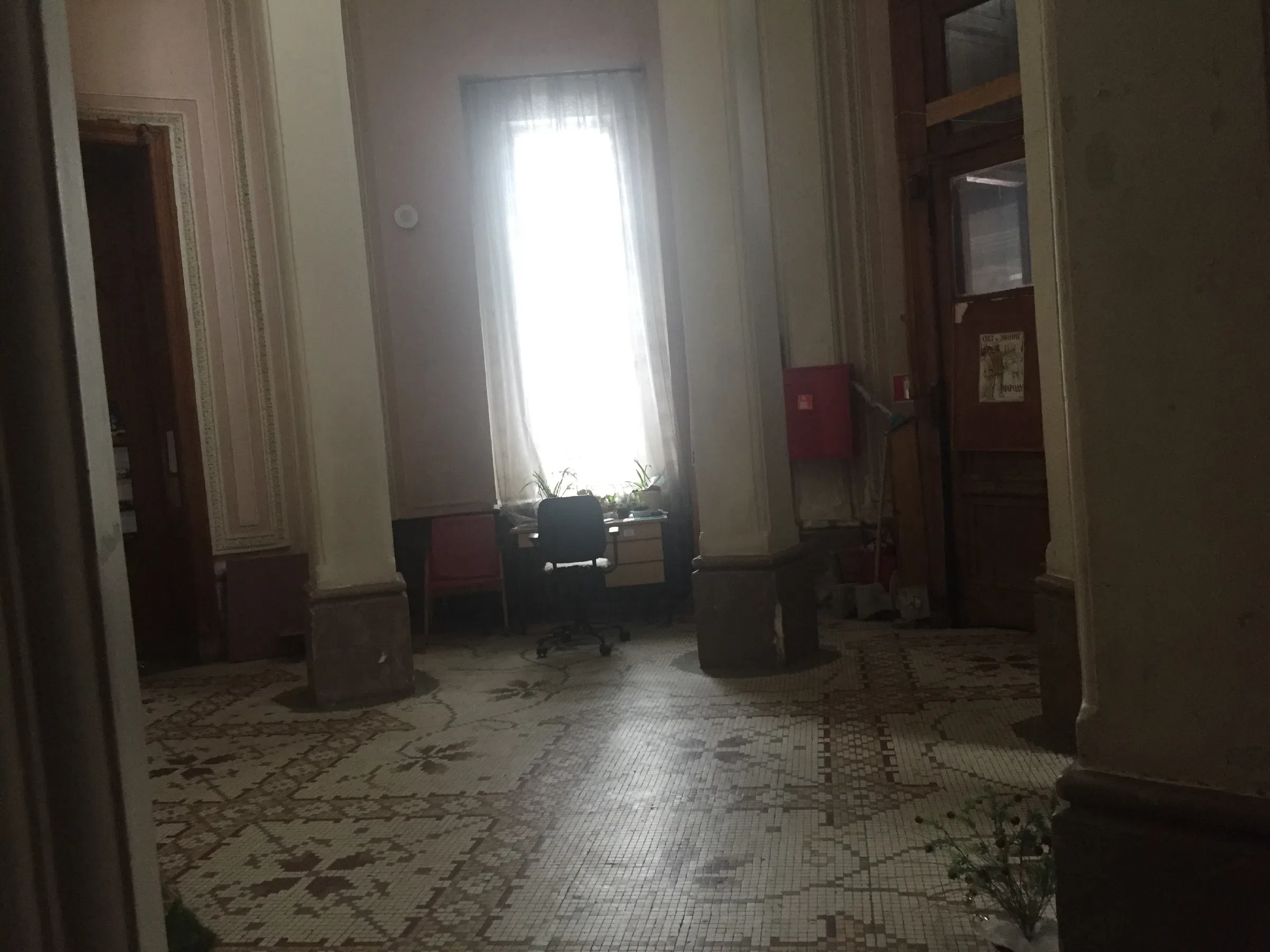 Старинный особняк в лесу, фото 20