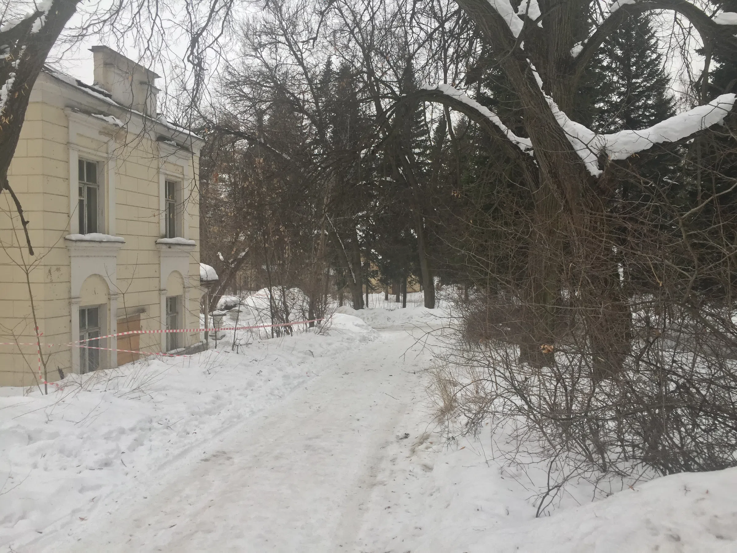 Старинный особняк в лесу, фото 5
