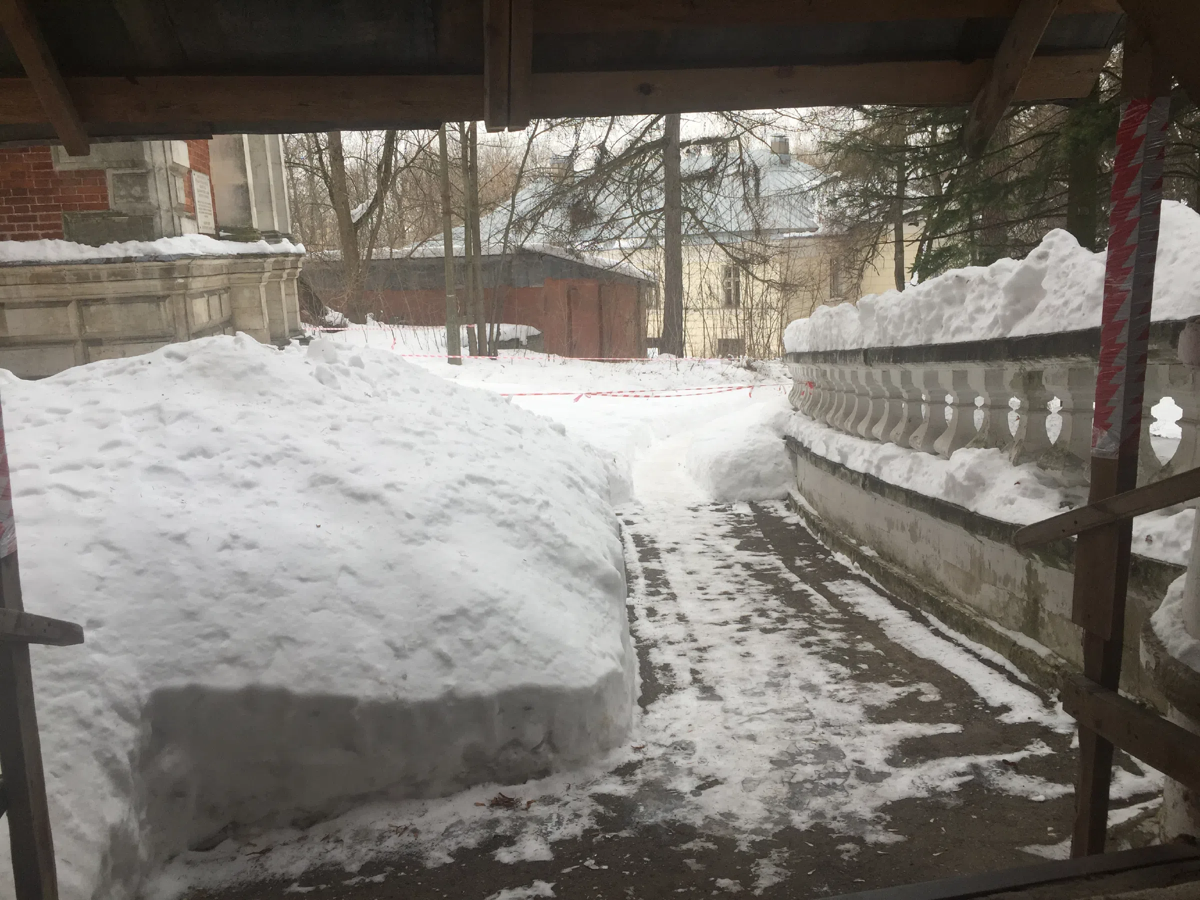Старинный особняк в лесу, фото 8