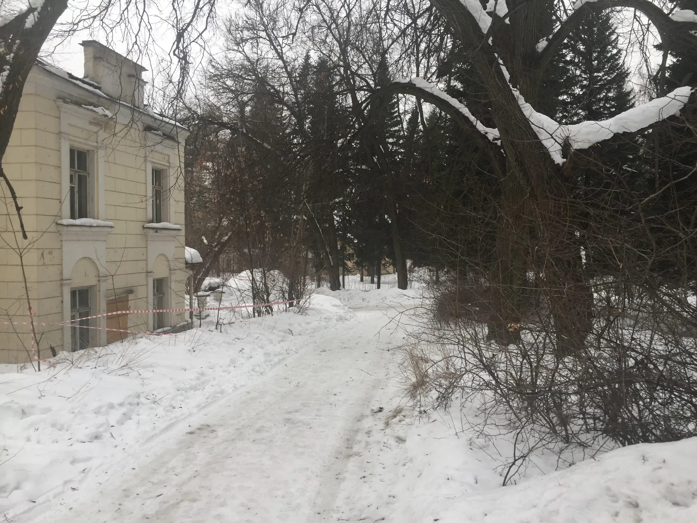 Старинный особняк в лесу, фото 4