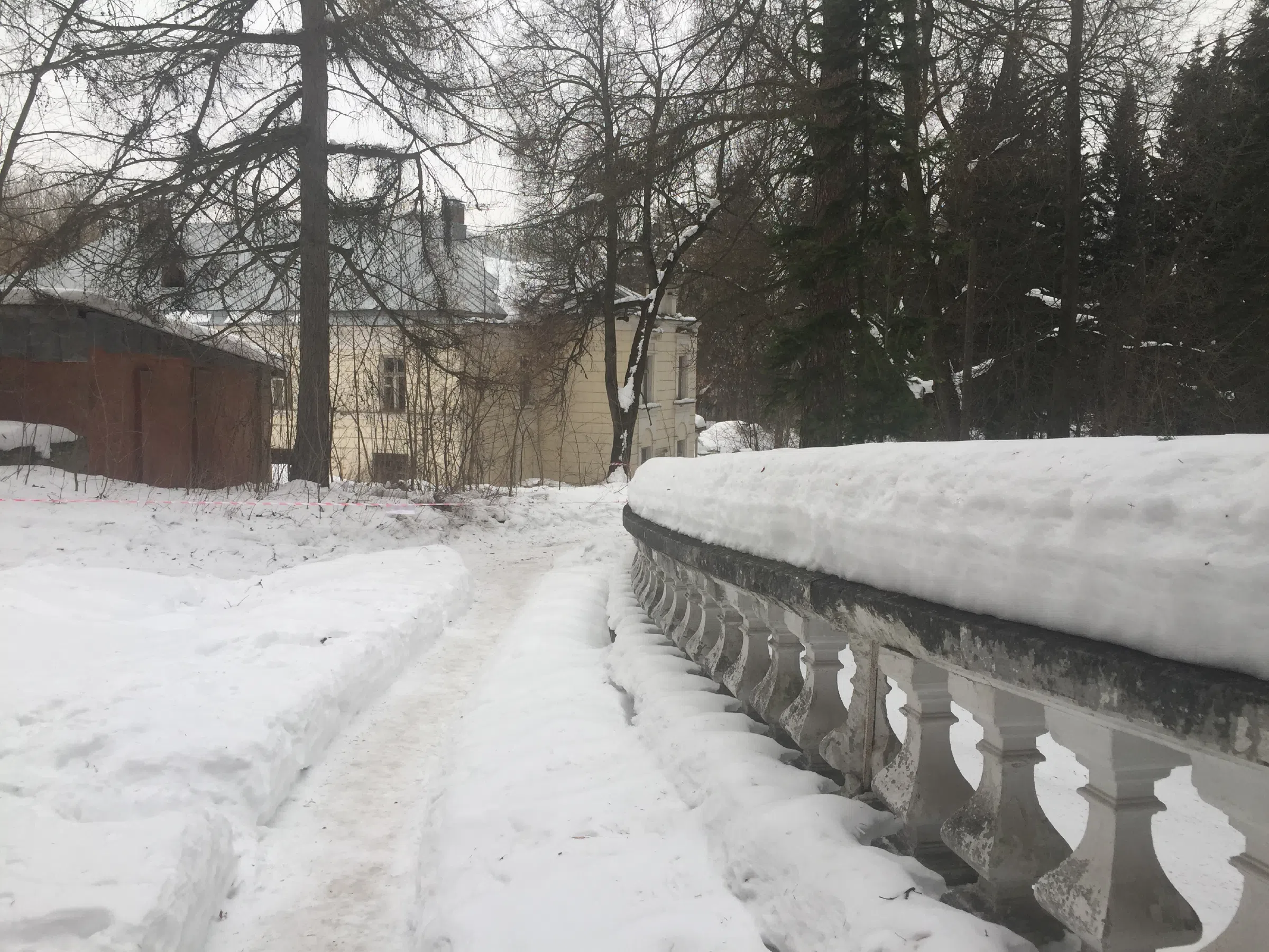 Старинный особняк в лесу, фото 7