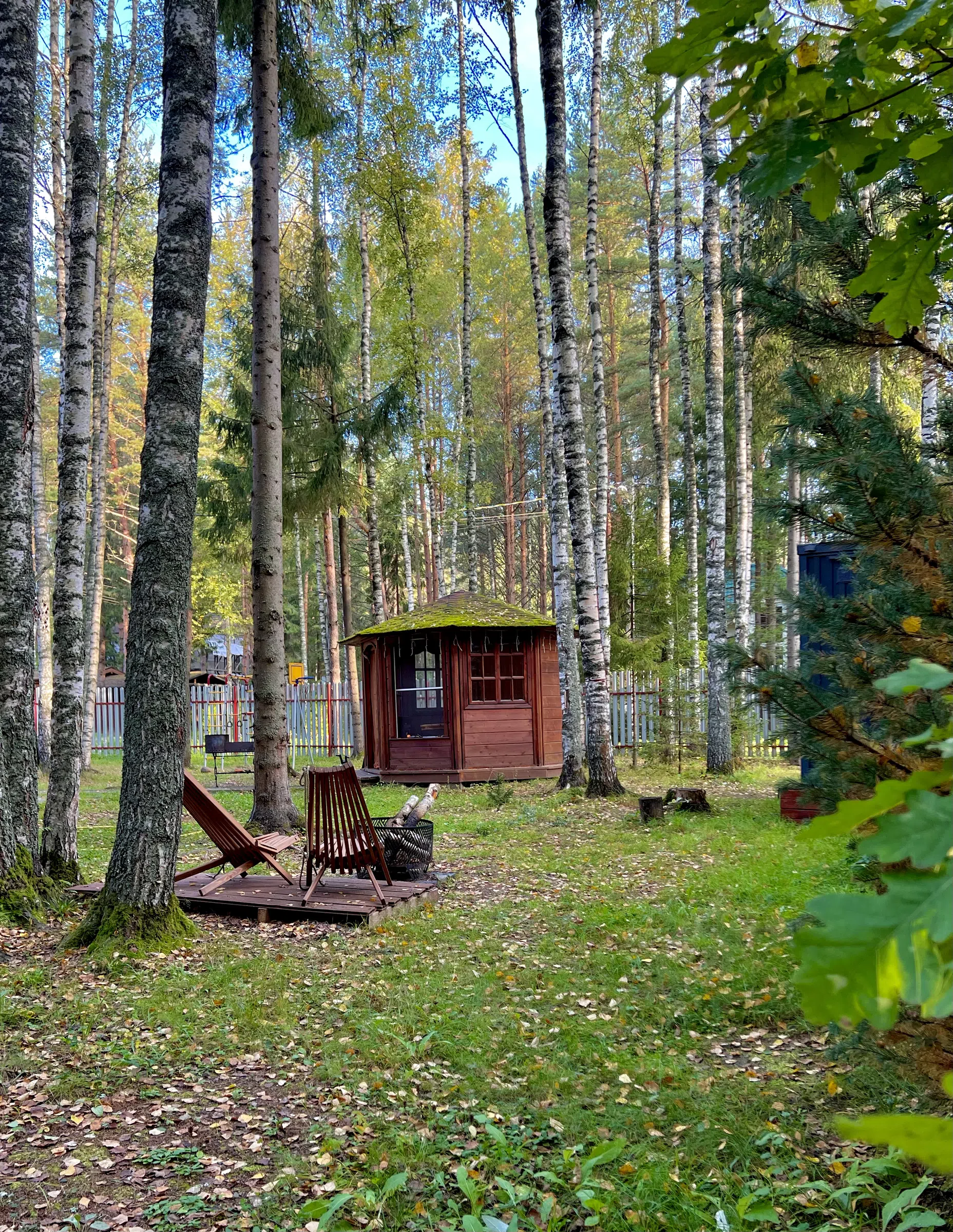 Лесная дача с беседкой, фото 6