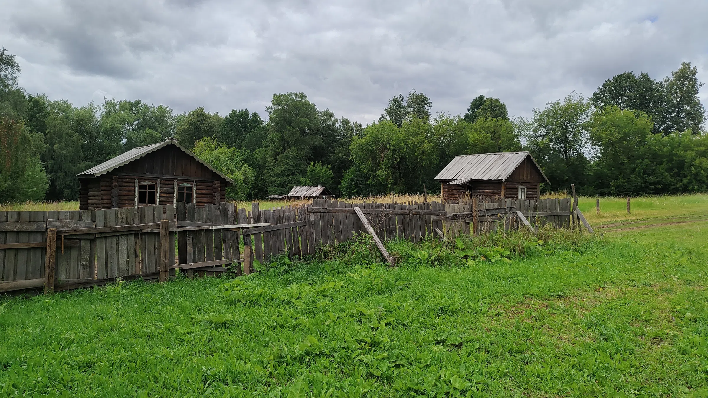 Деревенская изба с дровами, фото 6