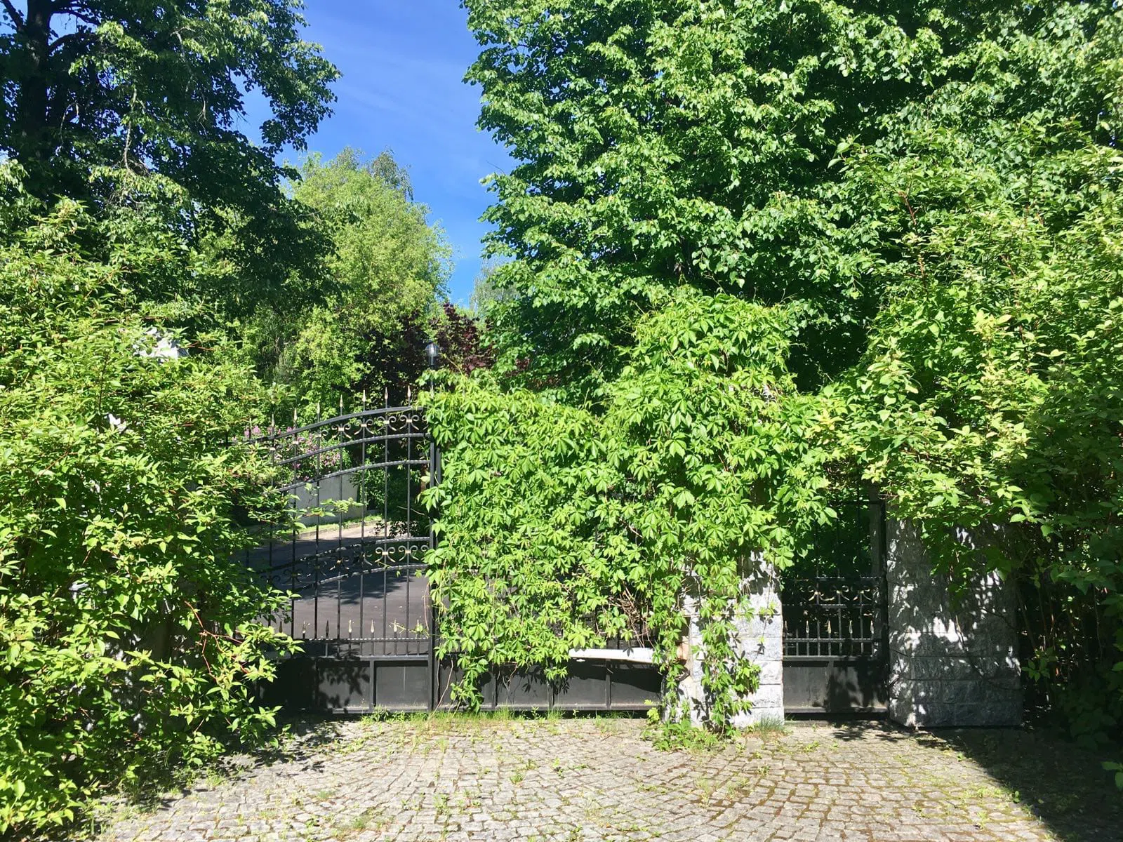 Усадьба с горгульями, фото 12