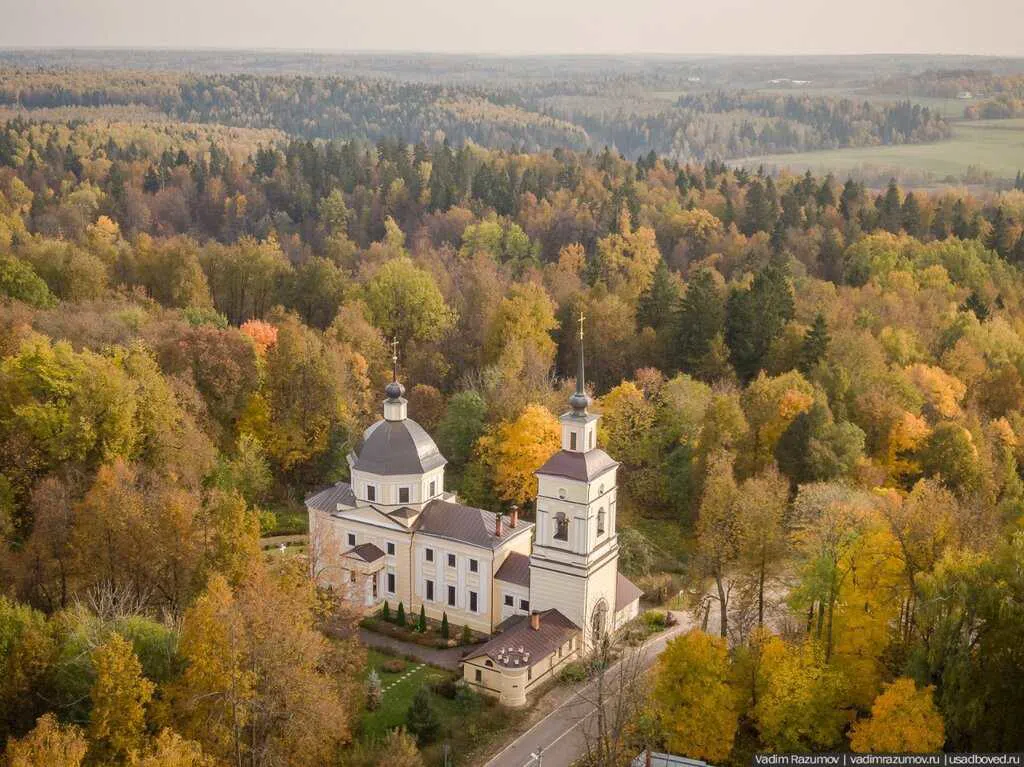 Усадьба с лепными розетками, фото 4