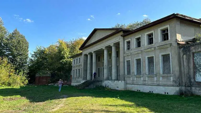 Усадьба с лепными розетками, фото 6