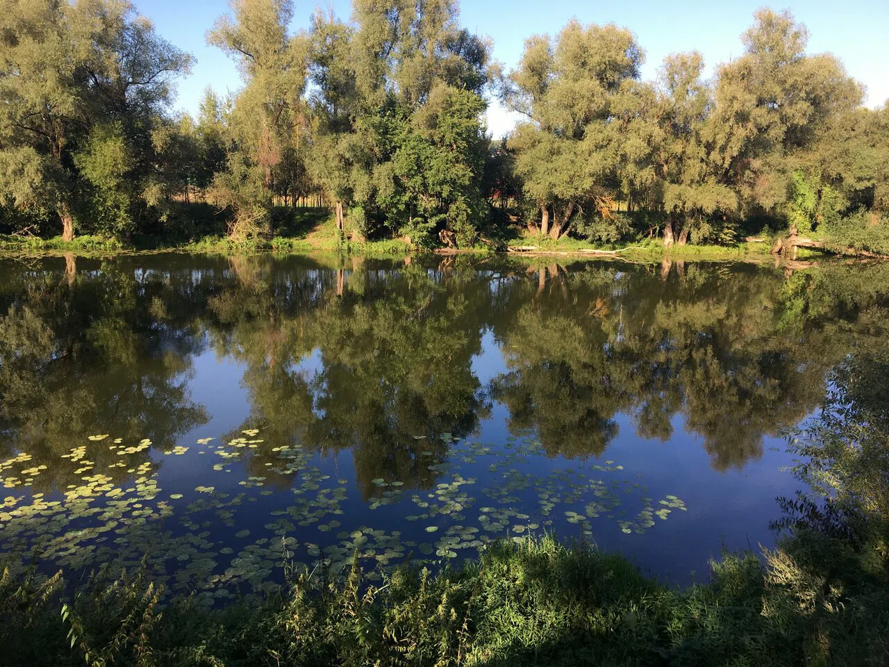 Величественная усадьба у воды, фото 3