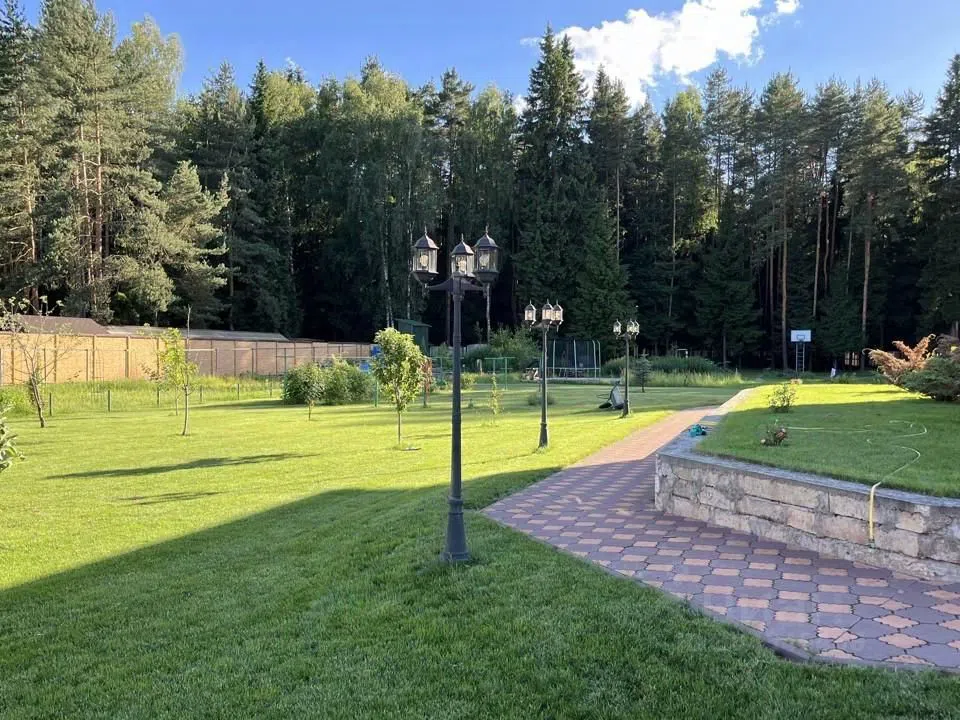 Большая дача у леса, фото 5