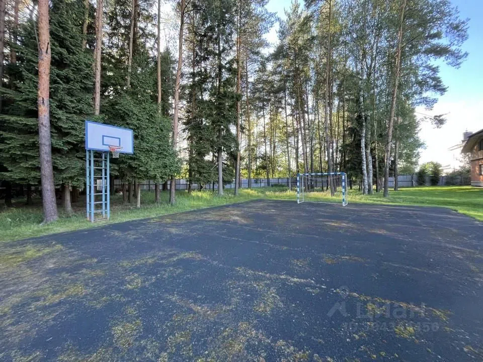 Большая дача у леса, фото 9