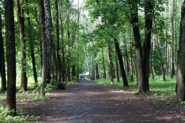 Усадьба Желтые Колонны, фото 24