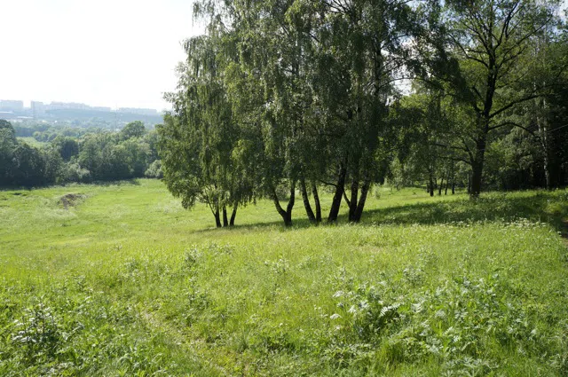 Усадьба Желтые Колонны, фото 6