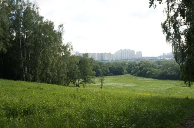 Усадьба Желтые Колонны, фото 21