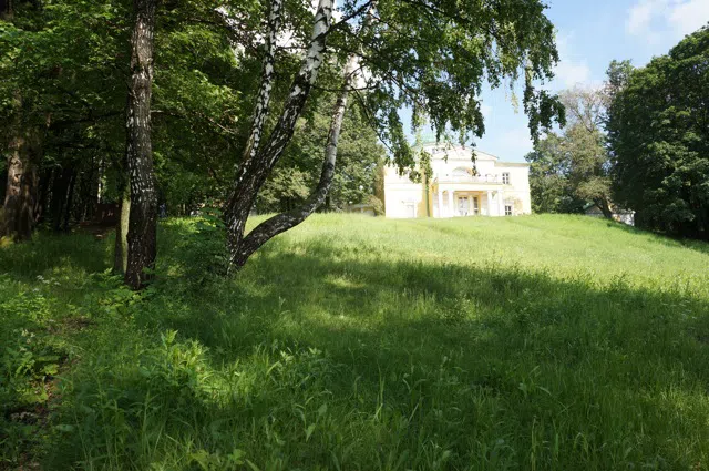 Усадьба Желтые Колонны, фото 12