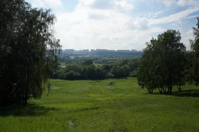 Усадьба Желтые Колонны, фото 5