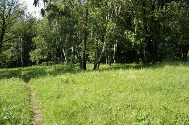 Усадьба Желтые Колонны, фото 7