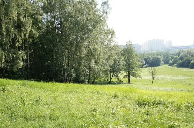 Усадьба Желтые Колонны, фото 10