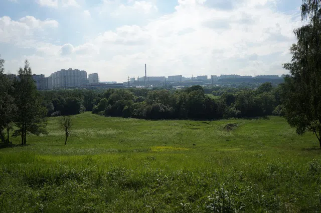Усадьба Желтые Колонны, фото 11
