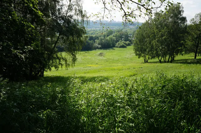 Усадьба Желтые Колонны, фото 3