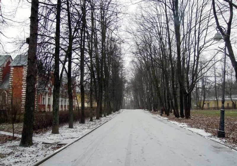 Усадьба с башенками в парке, фото 1