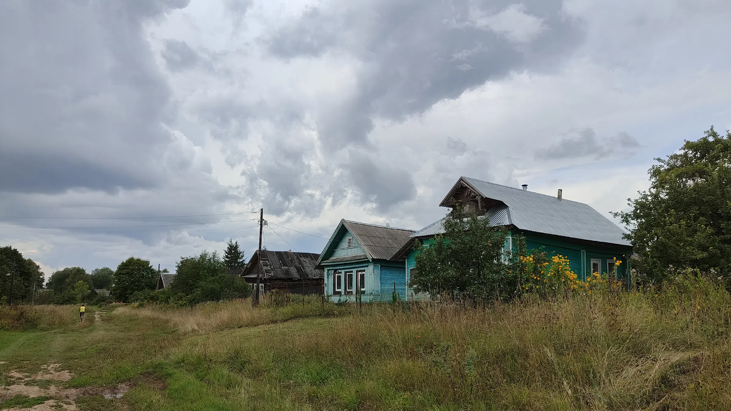 Дачный просёлок, фото 16