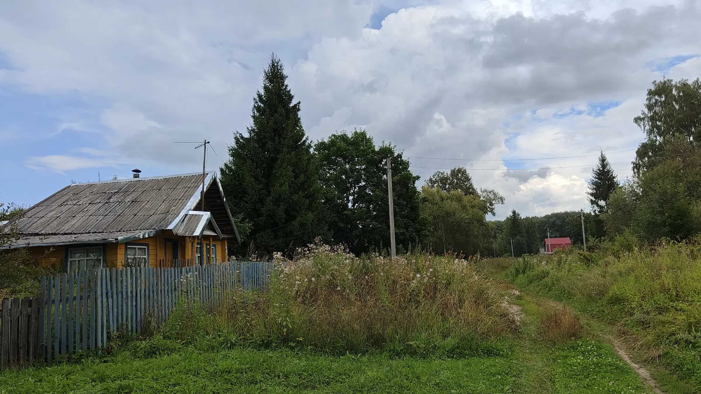 Дачный просёлок, фото 18