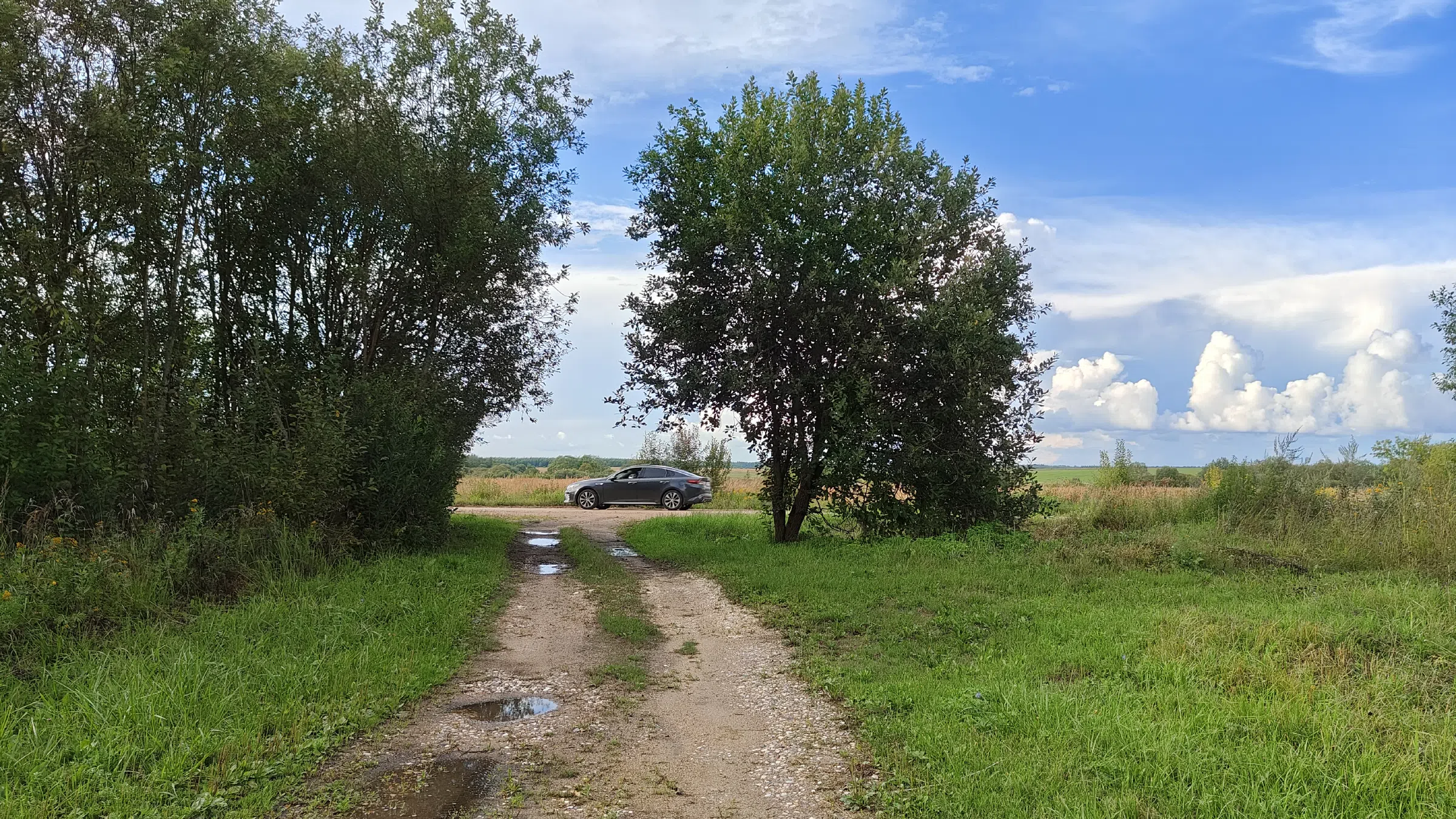Индустриальная промзона с природой, фото 13