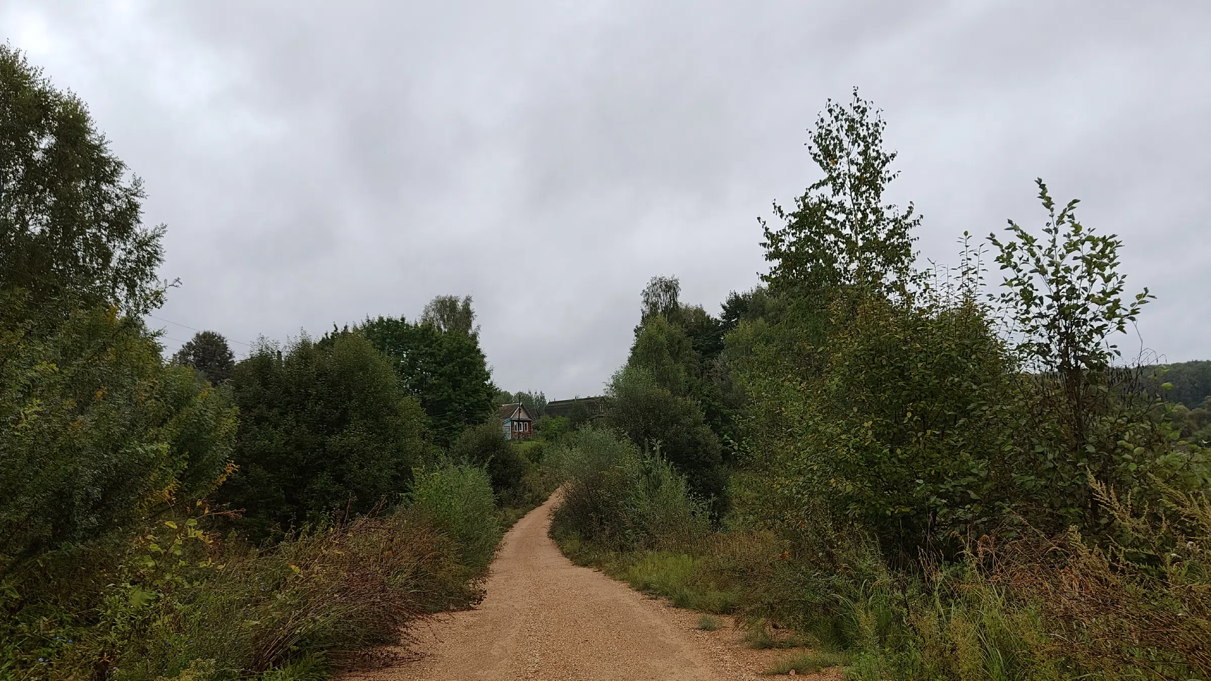 Рядовая дача с лесом, фото 12