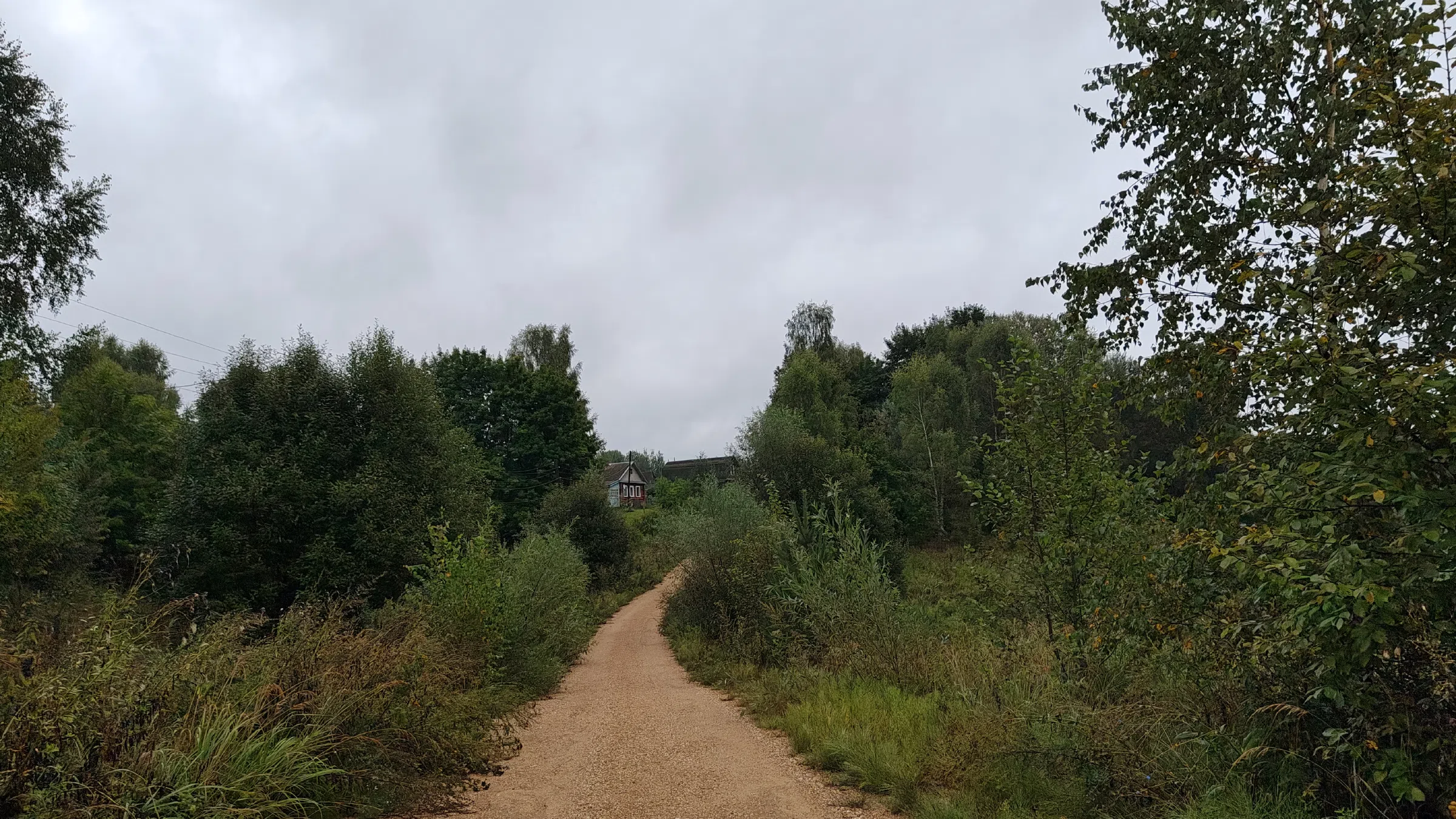 Рядовая дача с лесом, фото 13