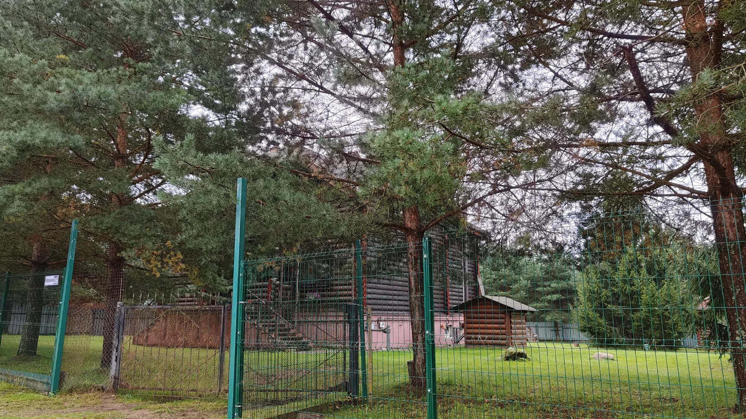 Рядовая дача с лесом, фото 4