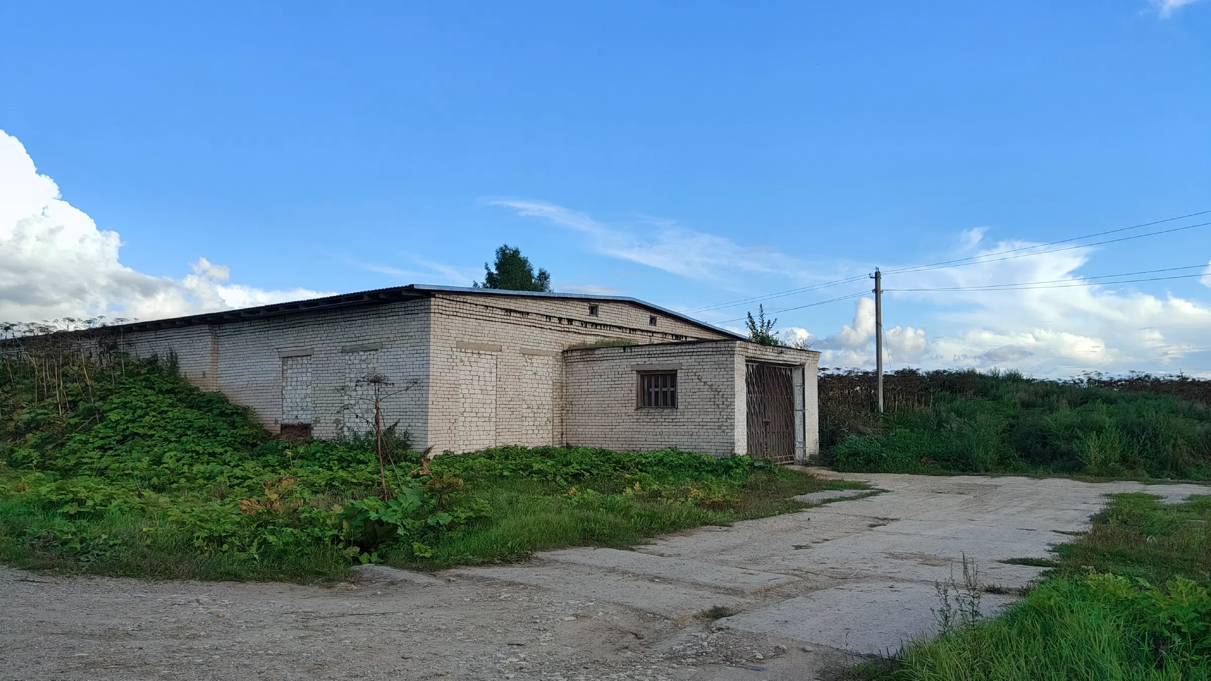 Деревенские домики и поля, фото 6