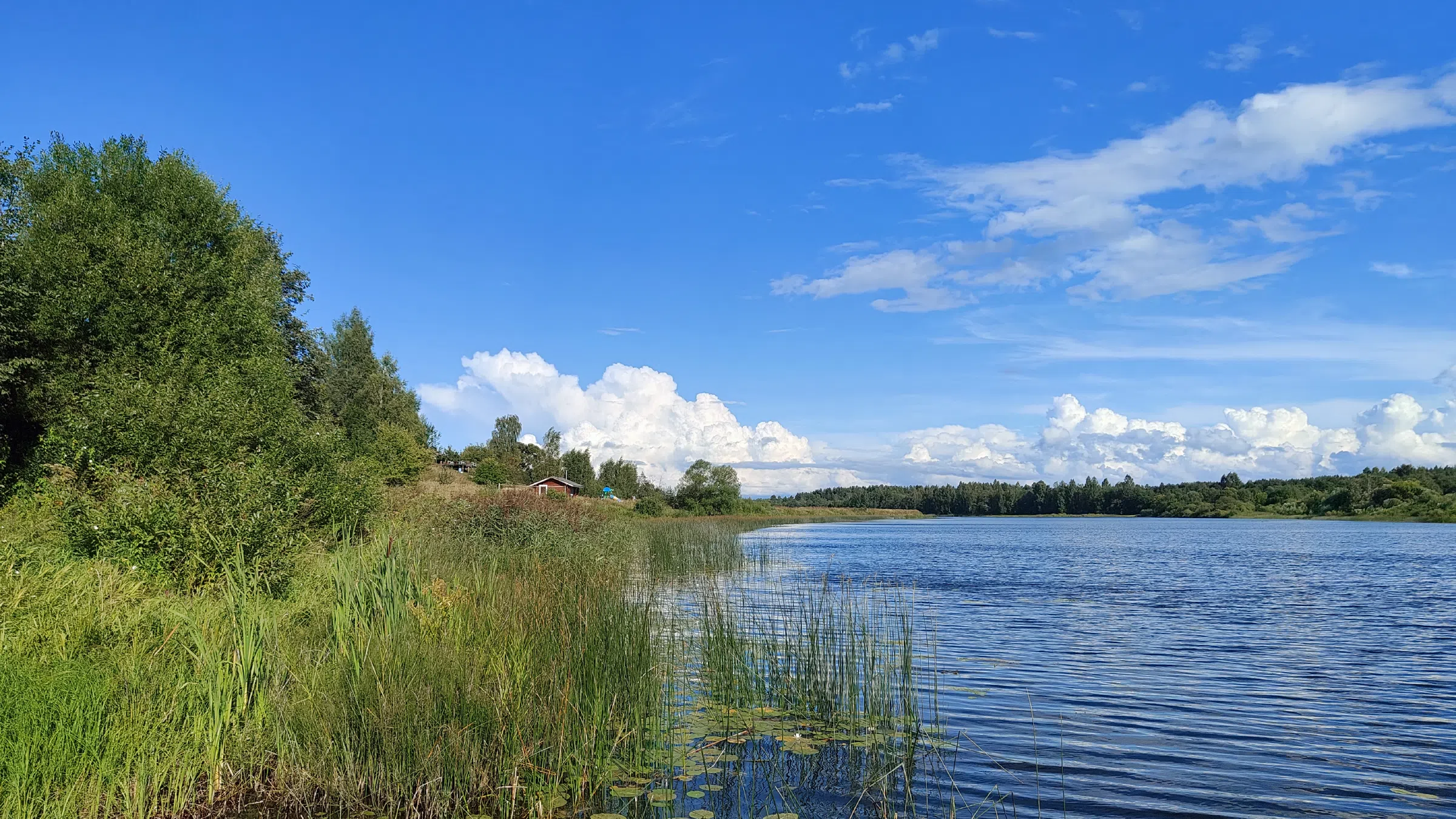 Голубая изба наличники, фото 18