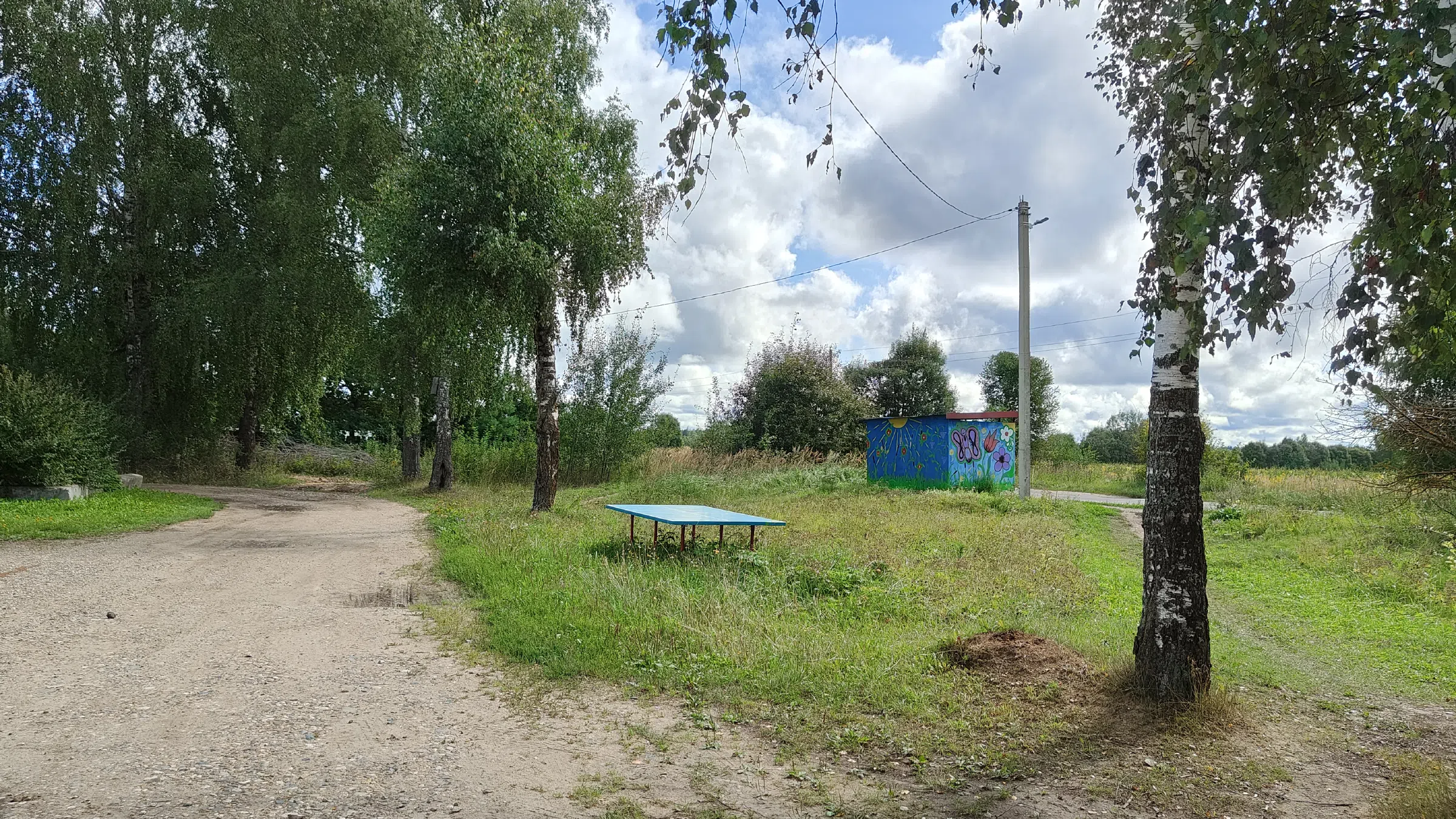 Деревенская церковь, фото 8