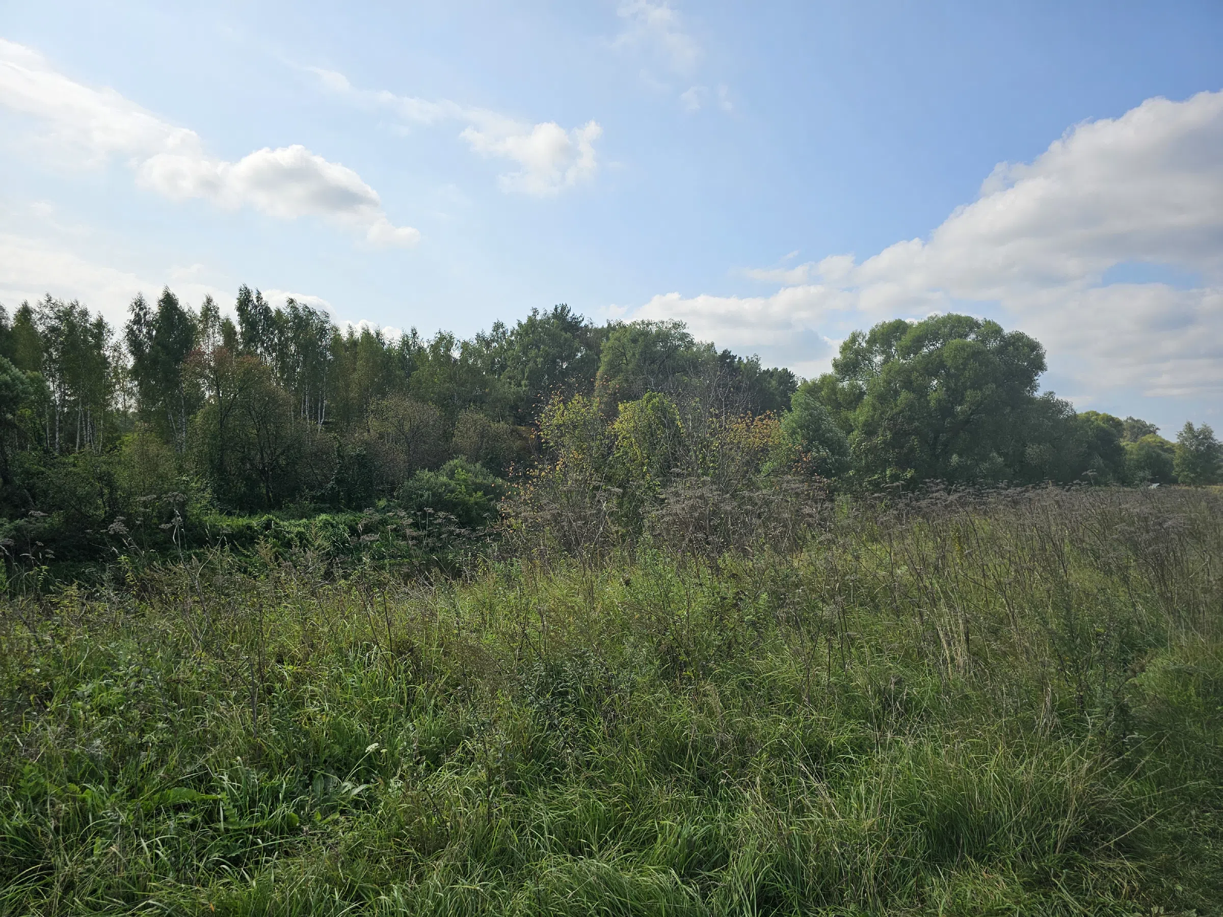 Природный парк у реки, фото 4