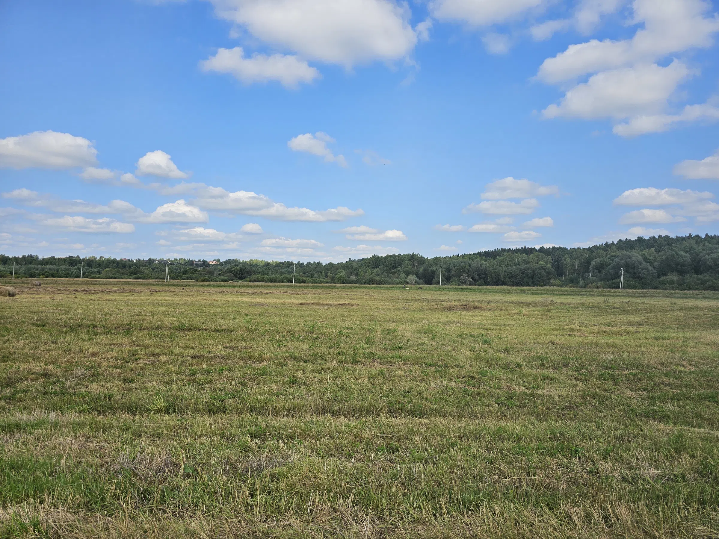 Природный парк у реки, фото 7