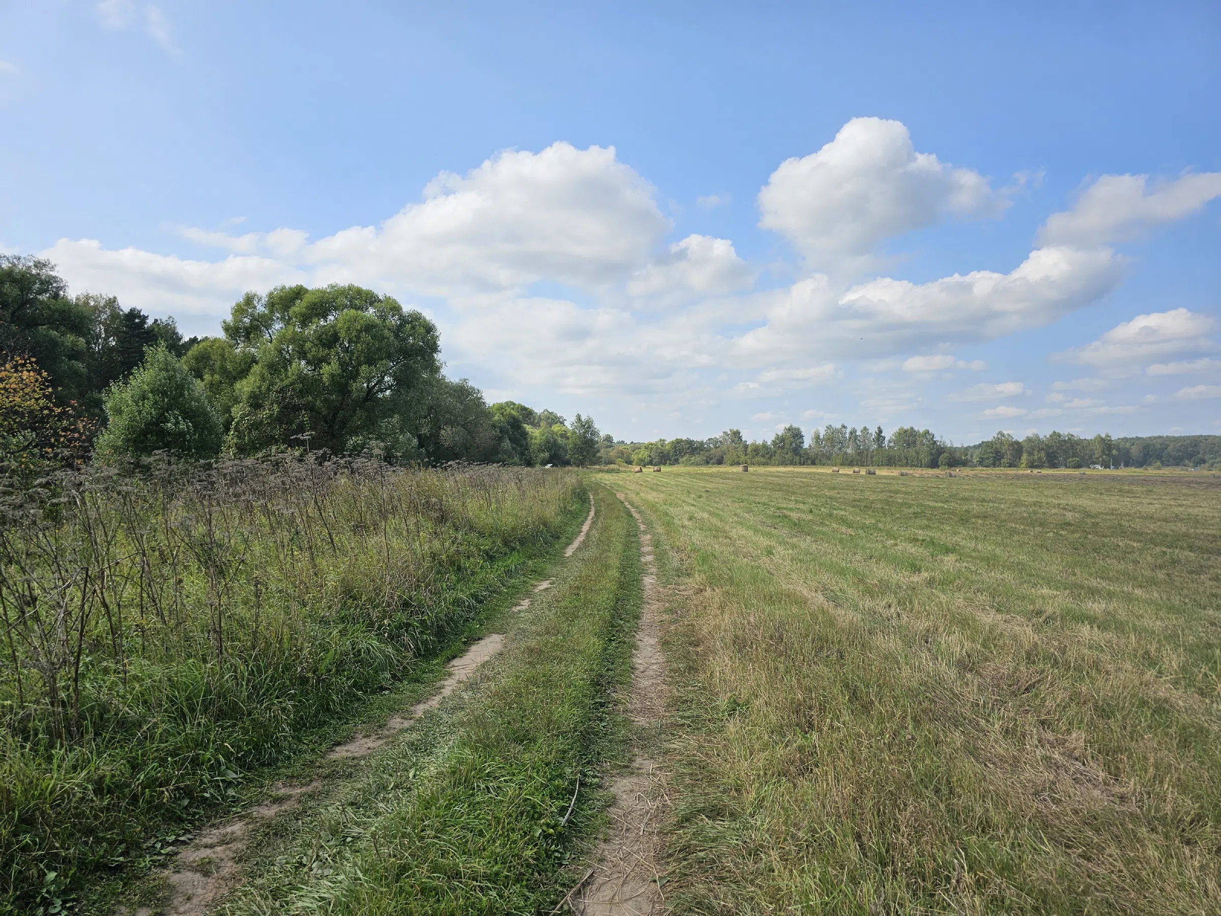 Природный парк у реки, фото 5