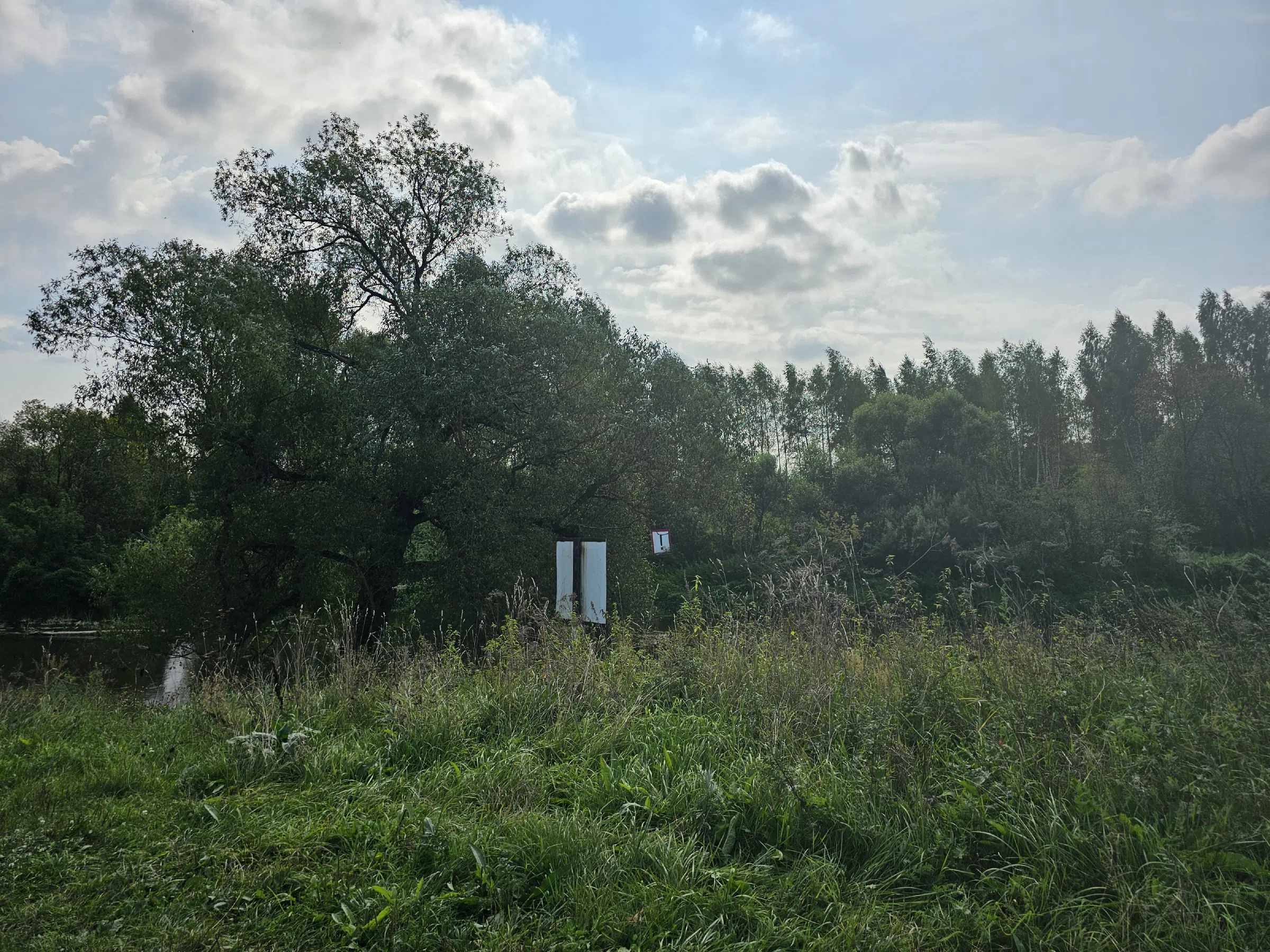 Природный парк у реки, фото 3