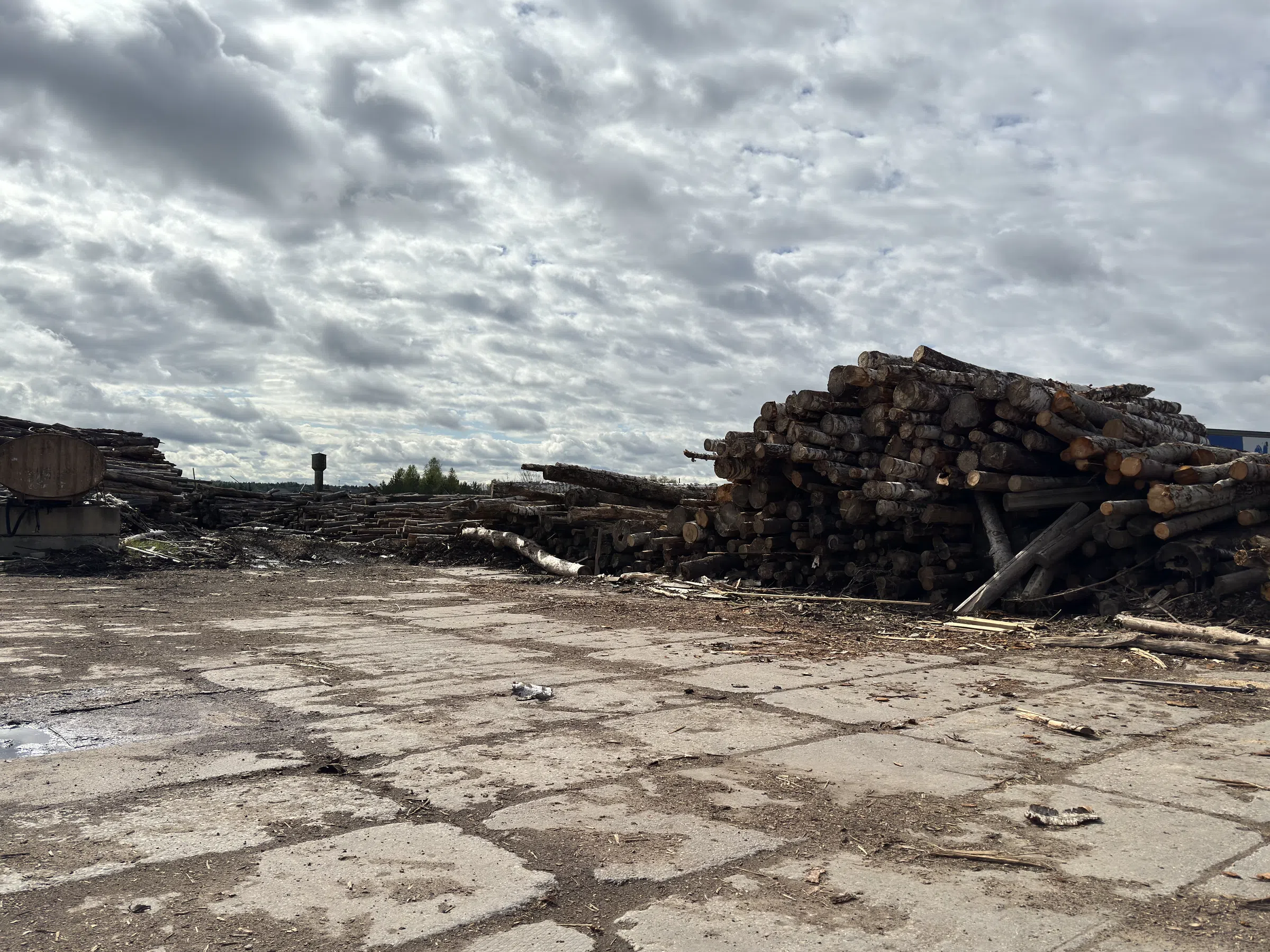 Деревообрабатывающее производство за городом, фото 17