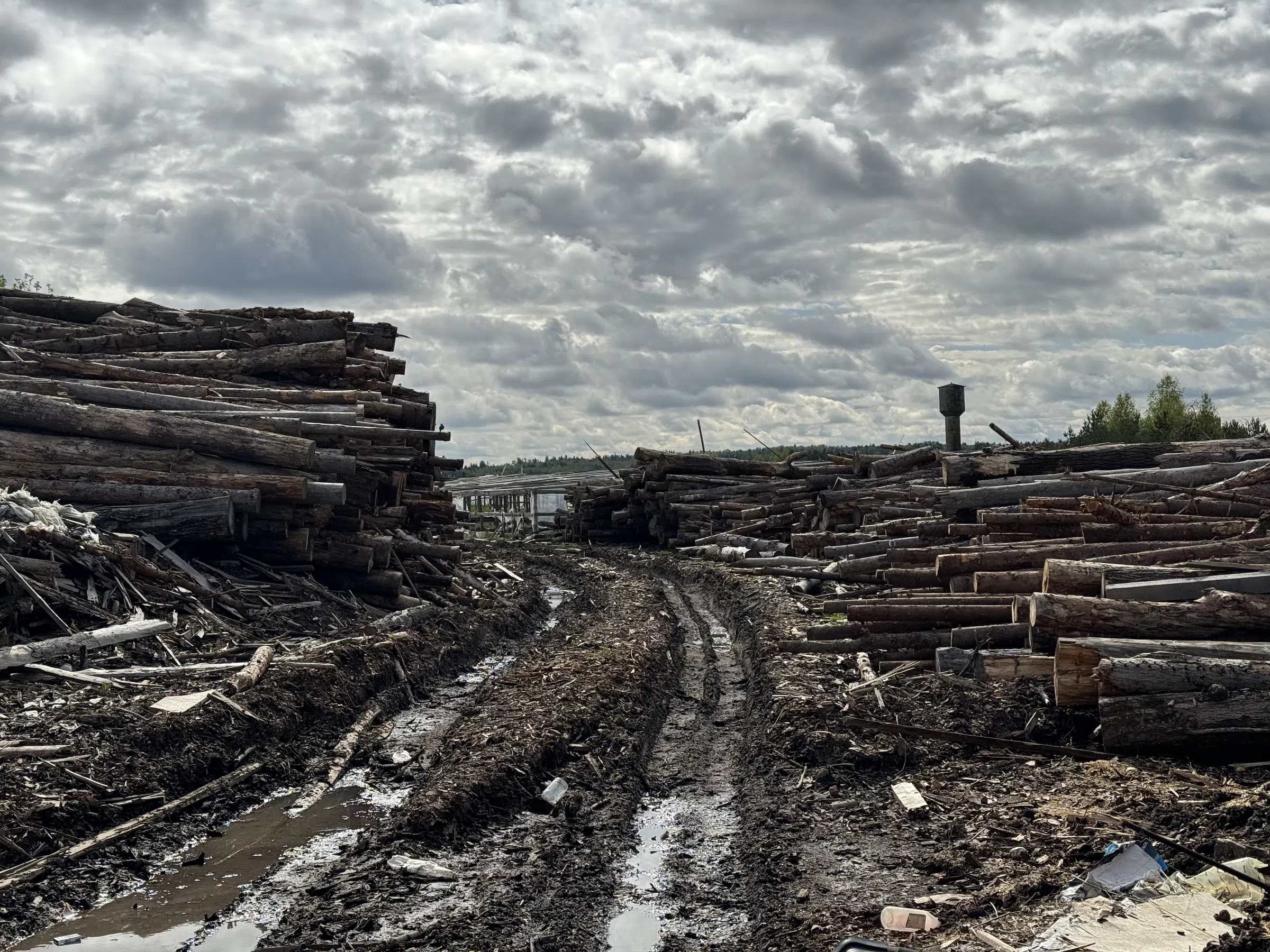 Деревообрабатывающее производство за городом, фото 20