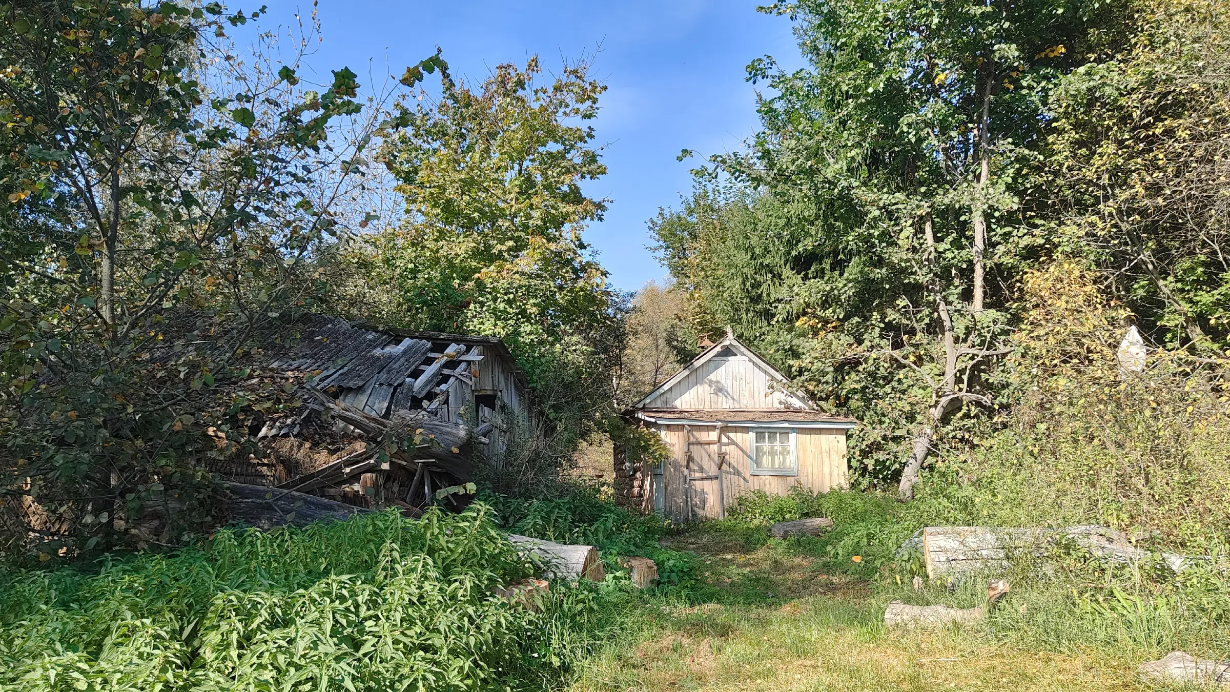 Голубая дача у леса, фото 20