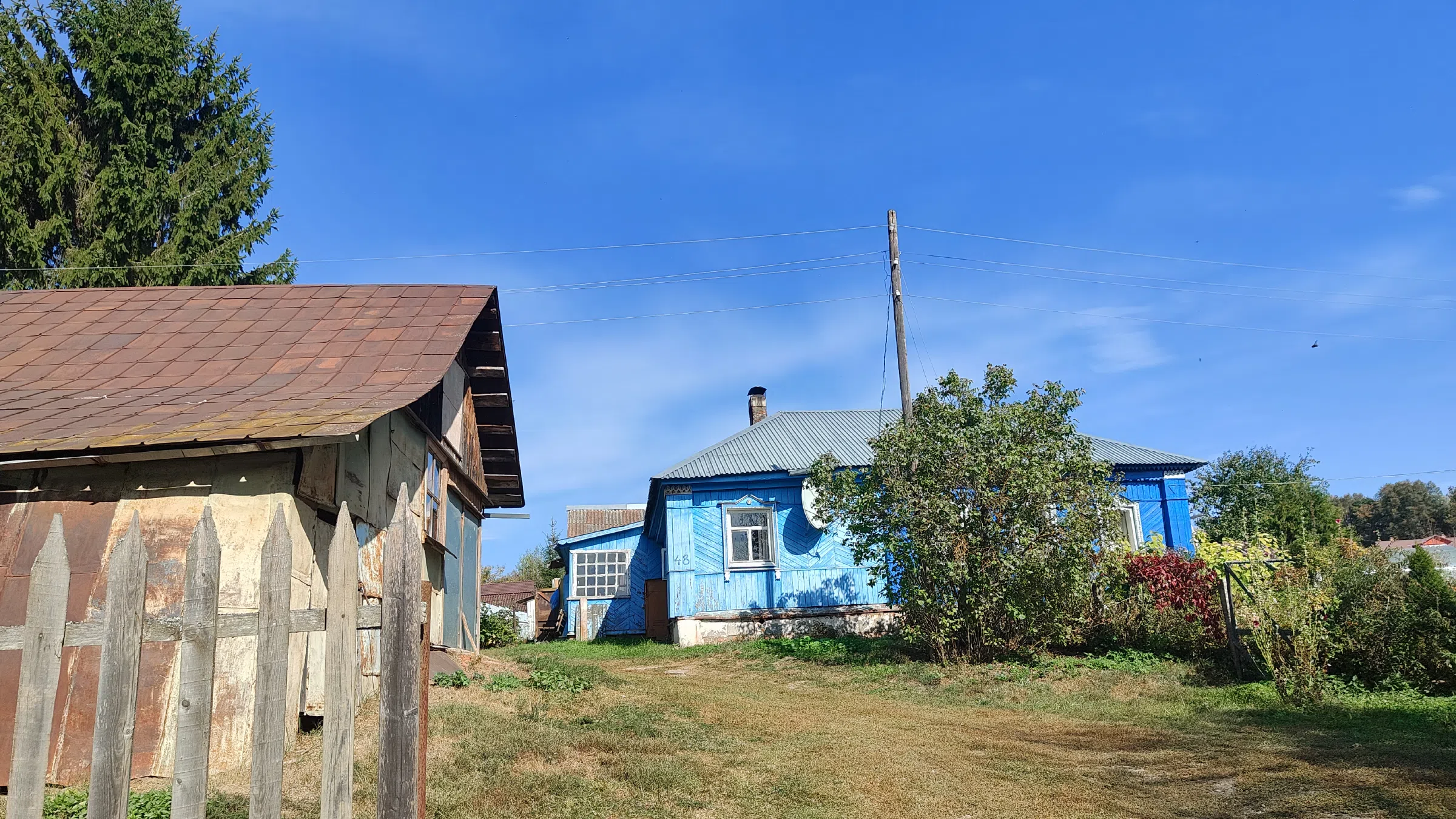 Голубая дача у леса, фото 1