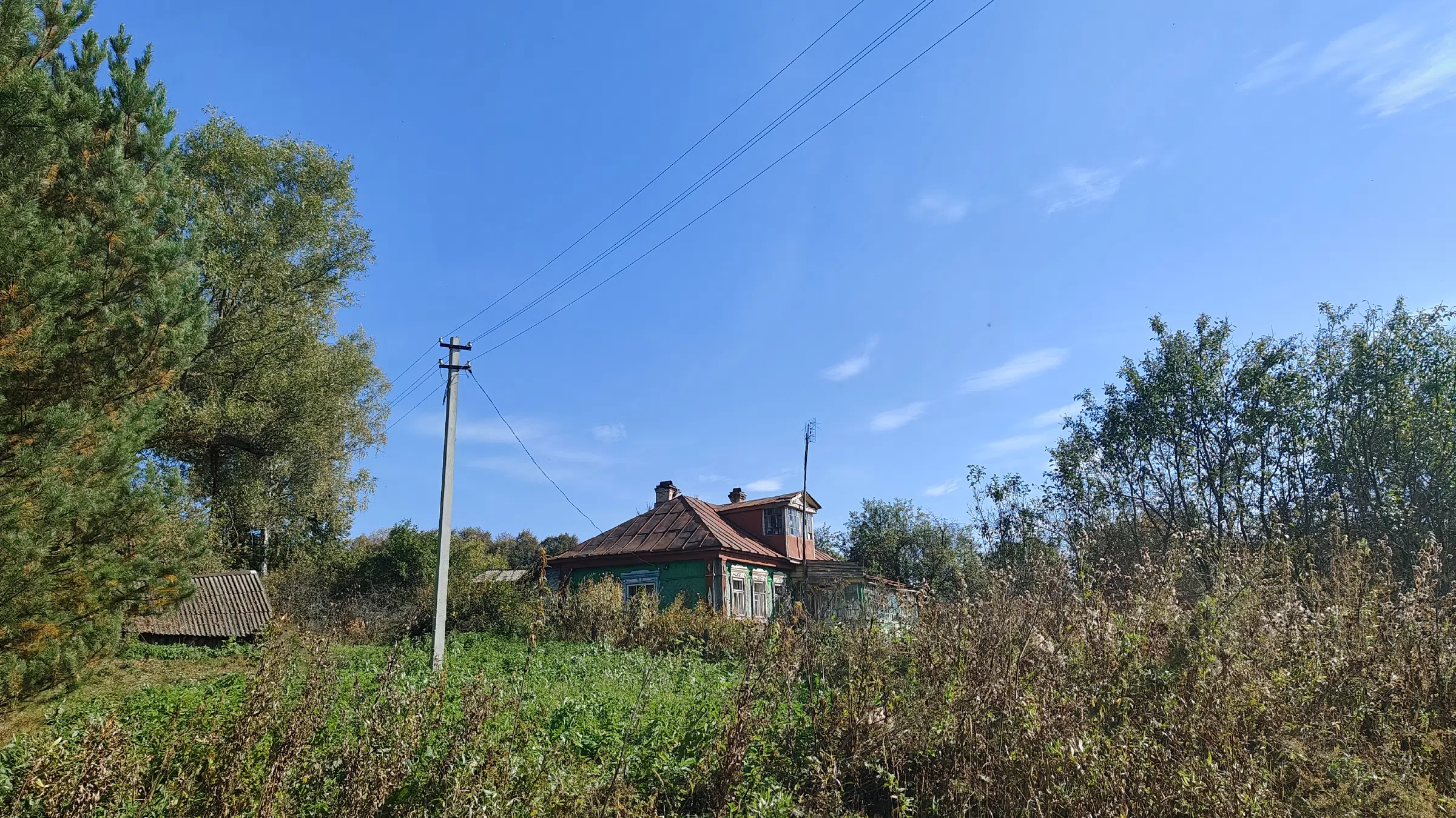 Голубая дача у леса, фото 11