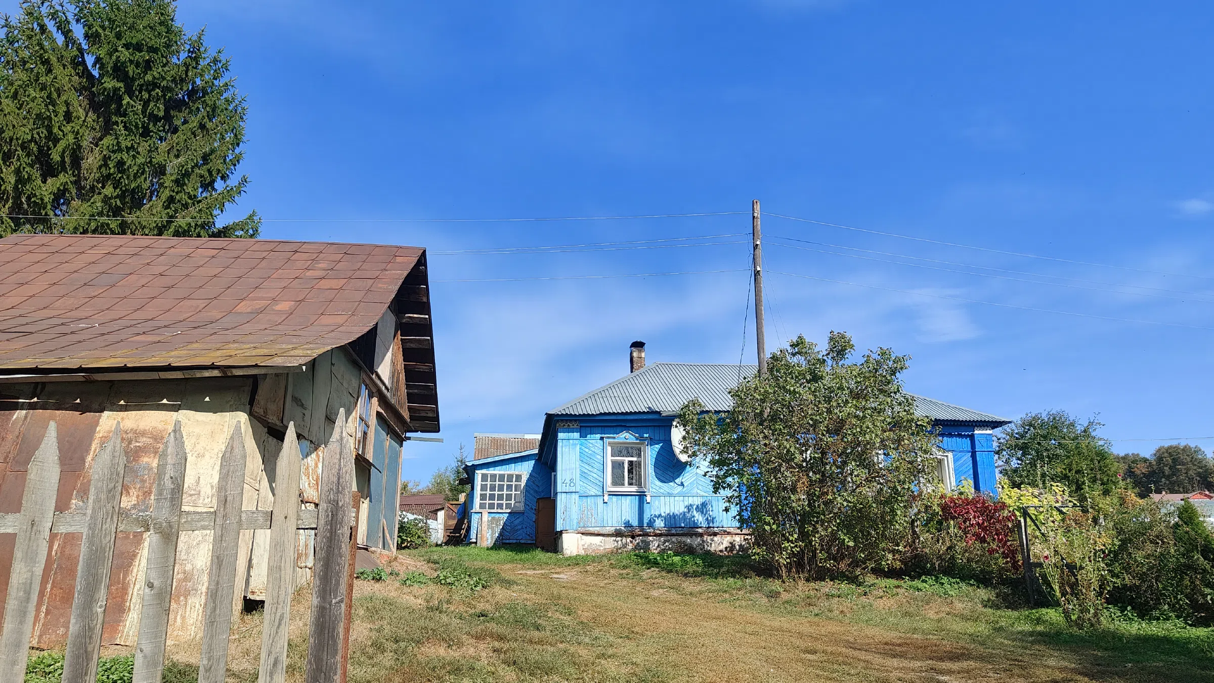 Голубая дача у леса, фото 2