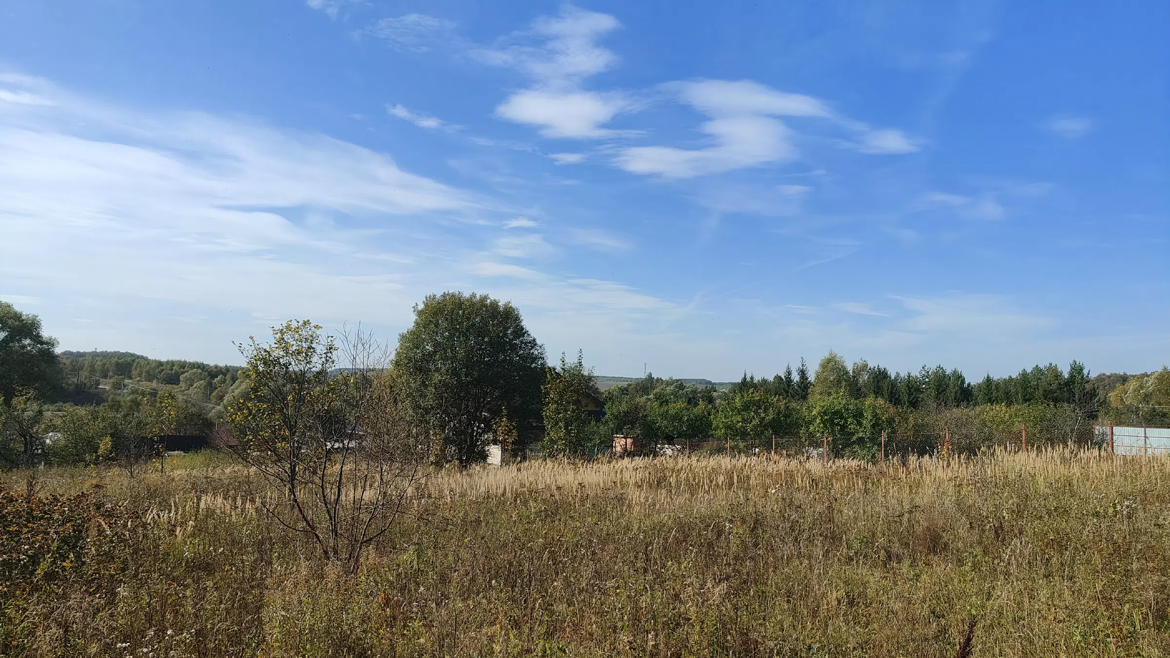 Голубая дача у леса, фото 17